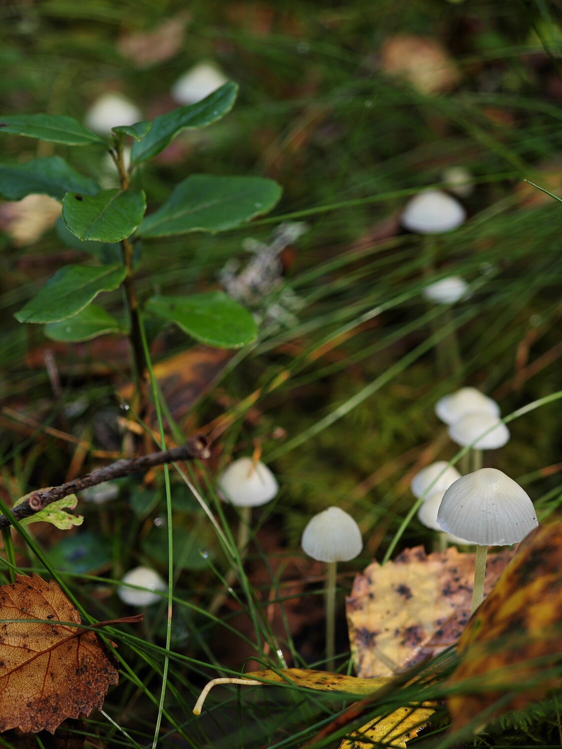 Photo #13965570