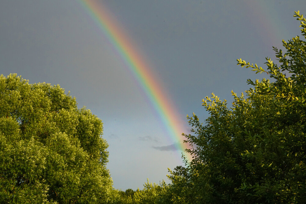 Photograph by Алфия Бугакова