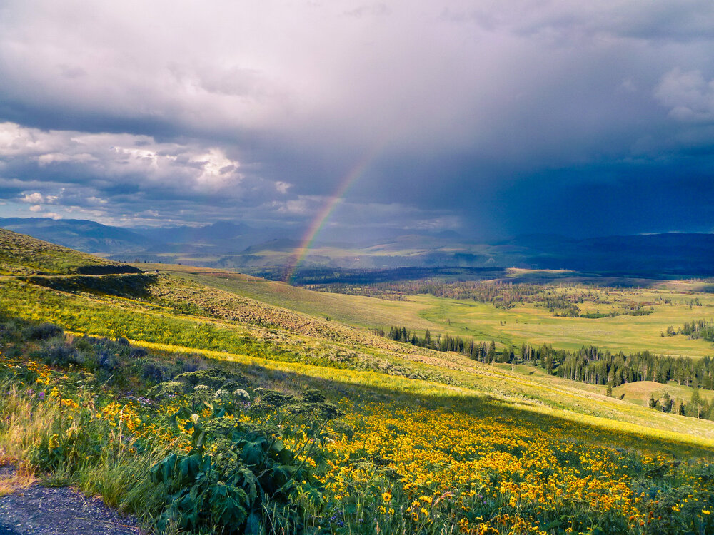 Photograph by Анатолий Костерев