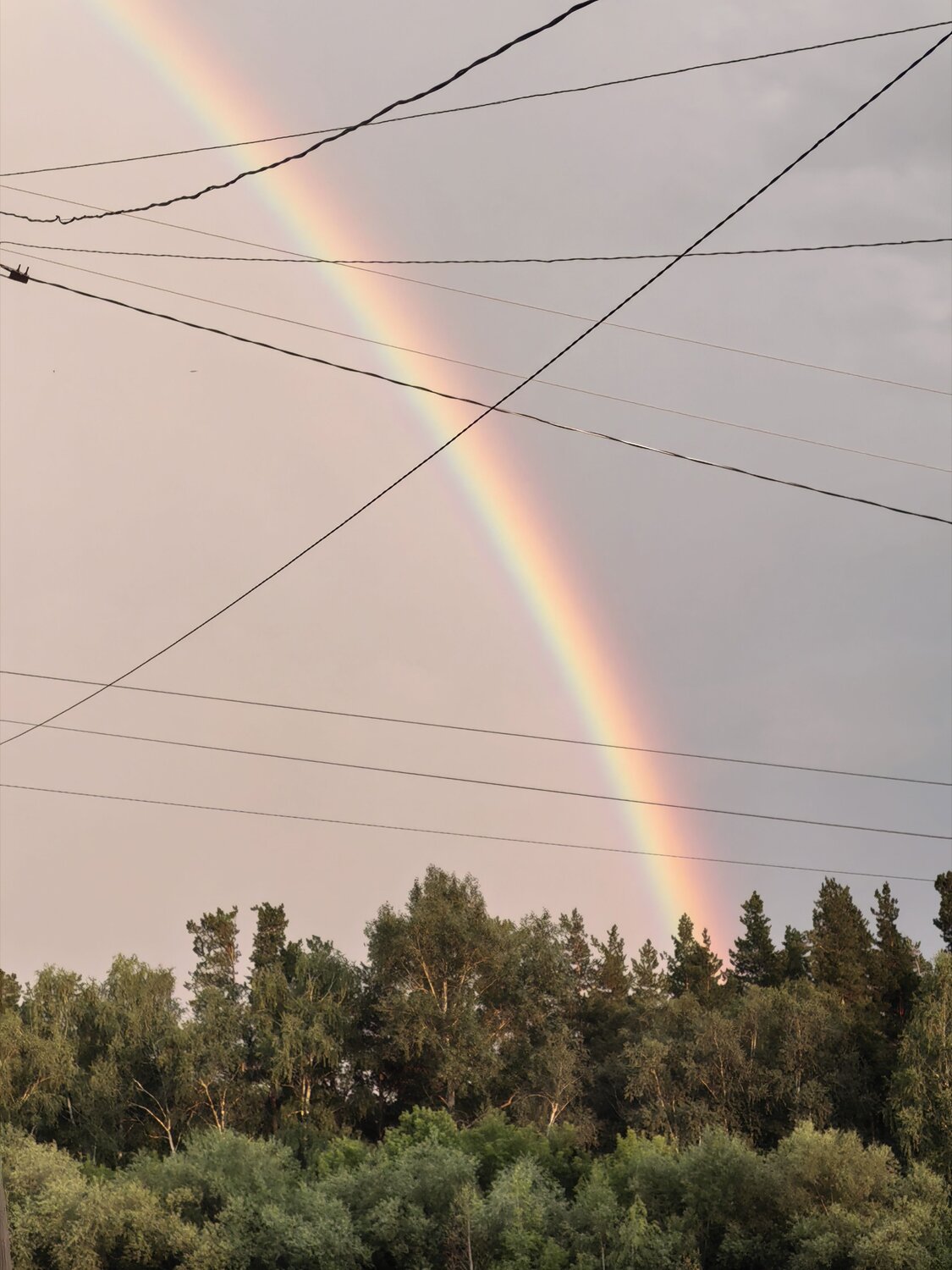 Photo #13965681