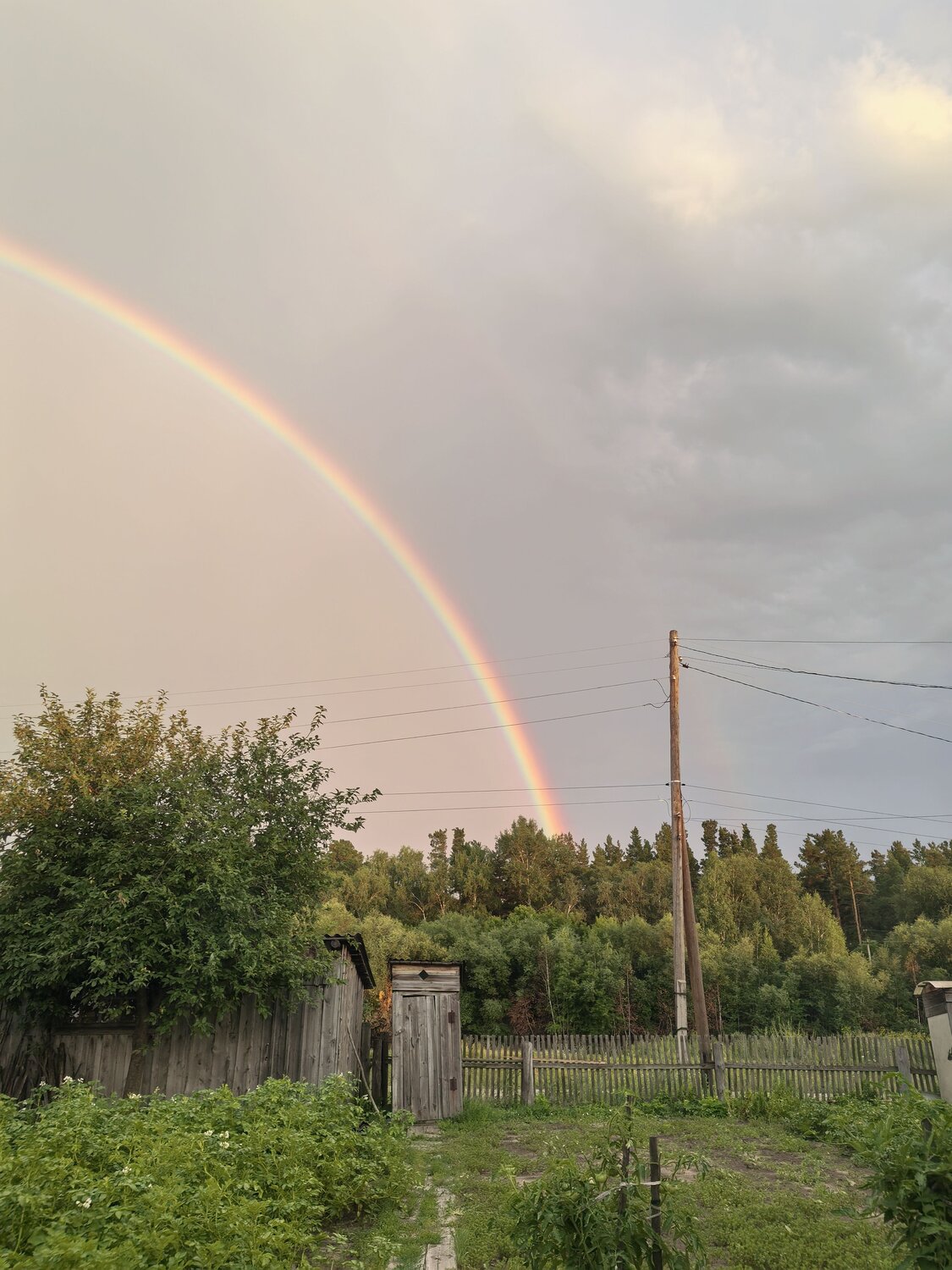 Photo #13965682