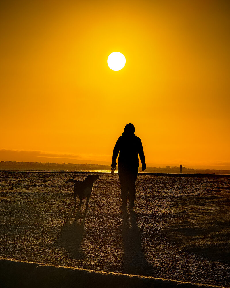 Photograph by Michael Deligan