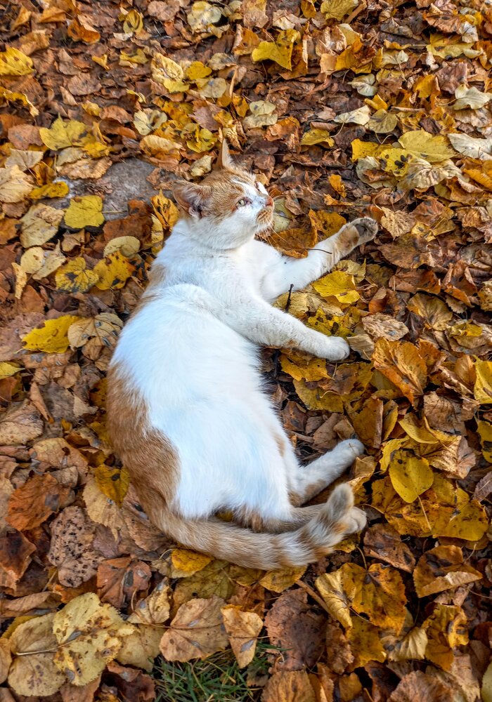 Photograph by Любовь Филиппова