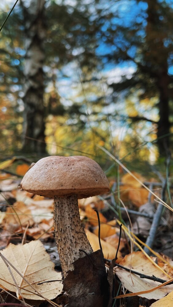 Photograph by Ляйсан Саляхиева
