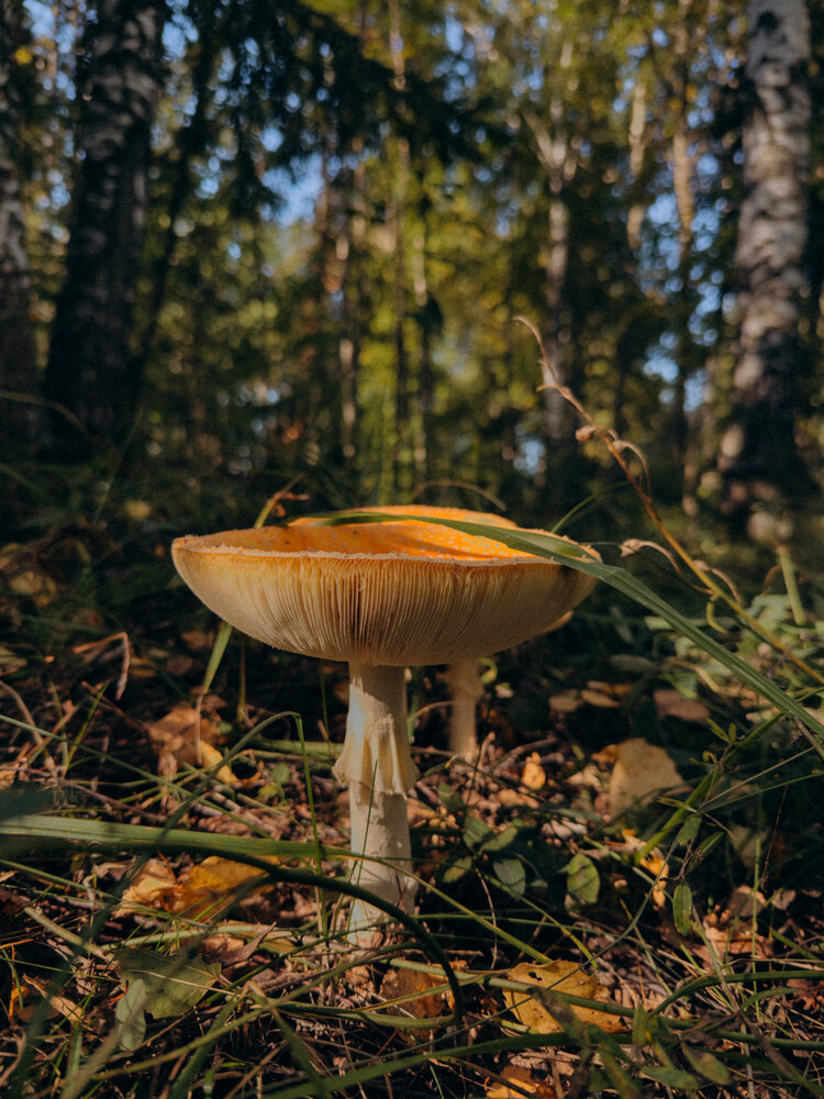 Photograph by Ляйсан Саляхиева