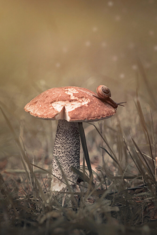 Photograph by Екатерина Леонова