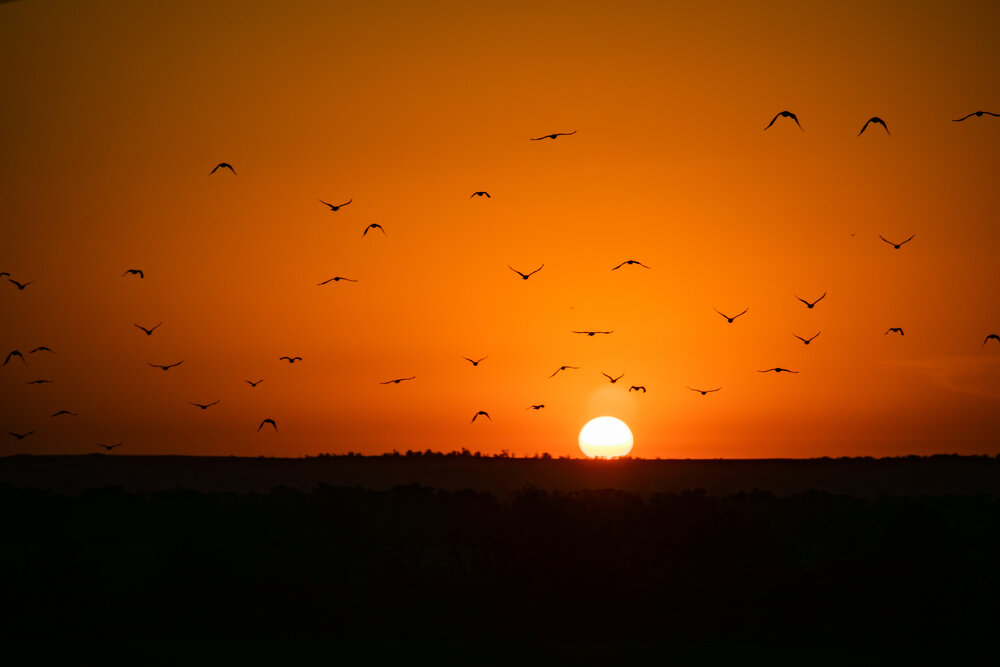 Photograph by Анастасия Лившиц