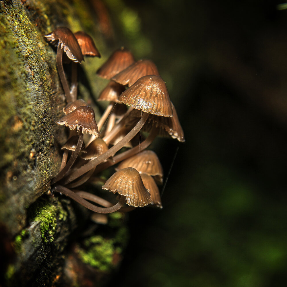 Photograph by Дмитрий Потапов