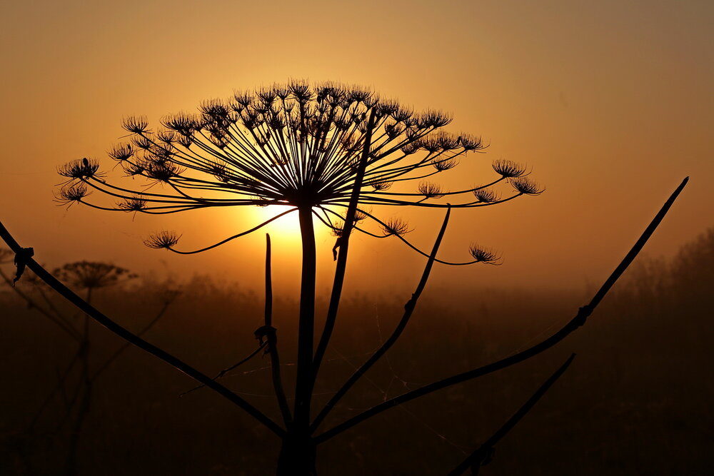 Photograph by Александр Кожевников