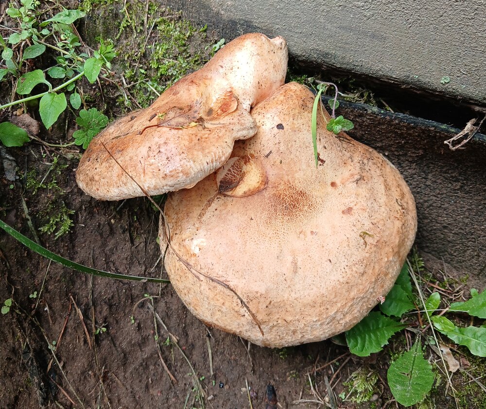 Photograph by Ольга Юрченко