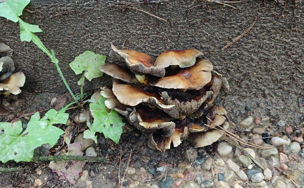 Photograph by Ольга Юрченко