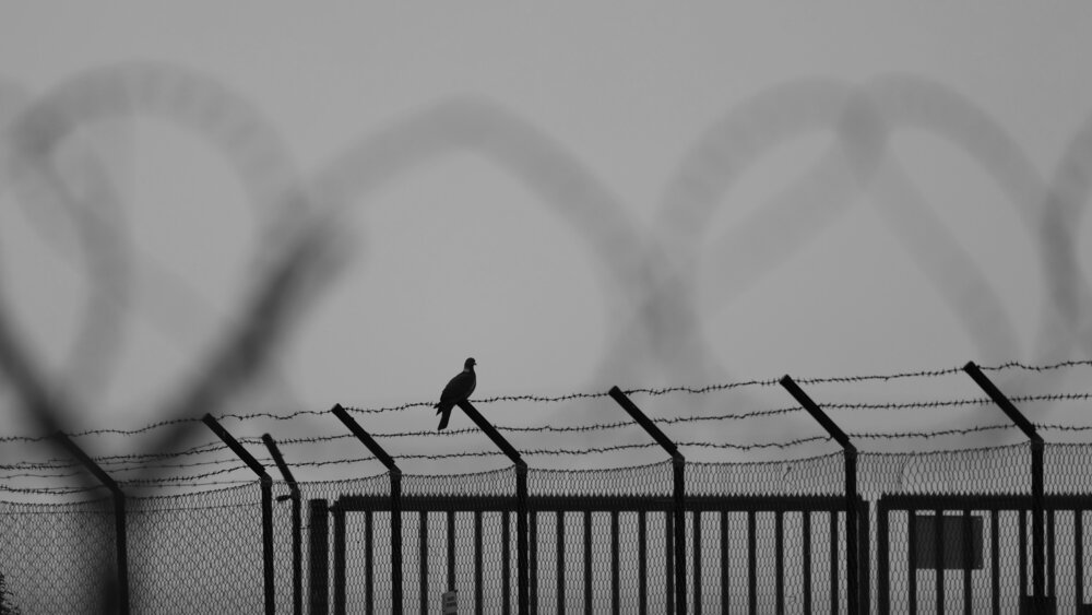 Photograph by Jiri Skalka