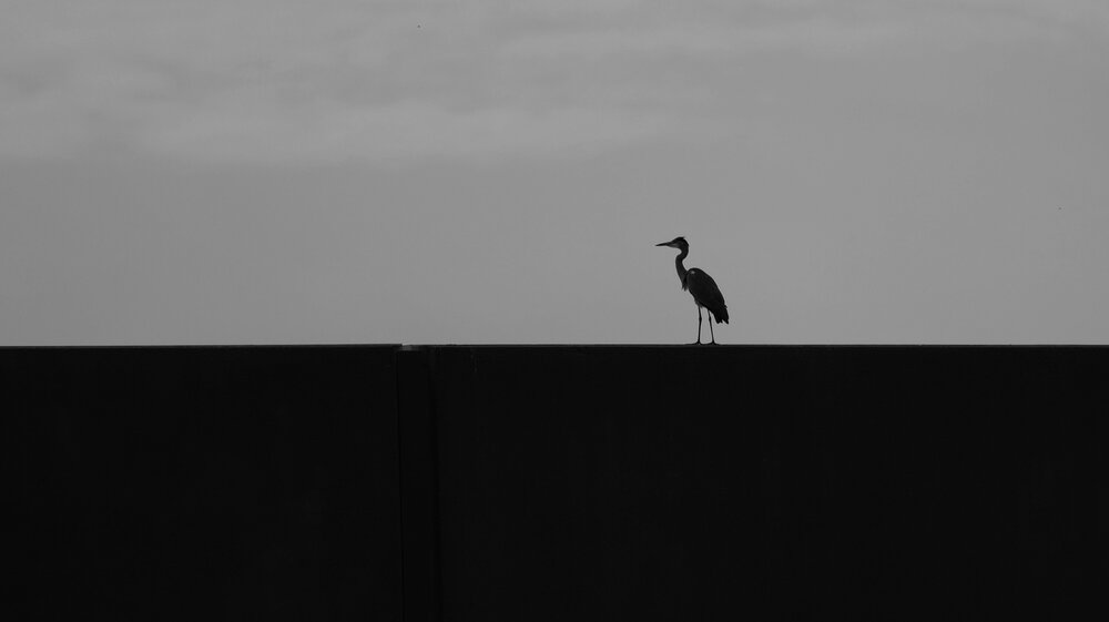 Photograph by Jiri Skalka