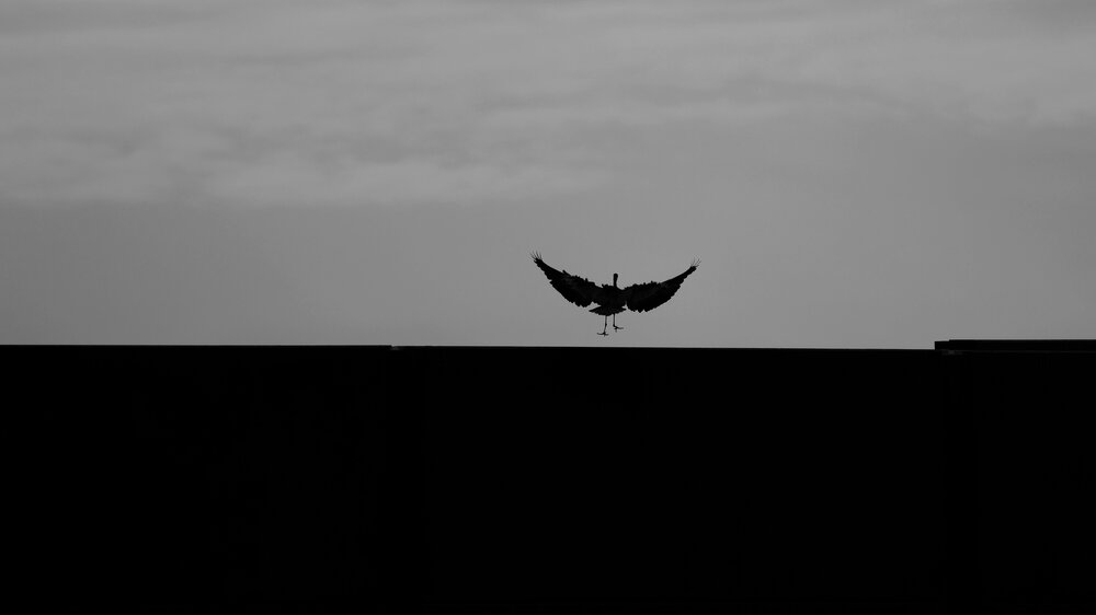 Photograph by Jiri Skalka