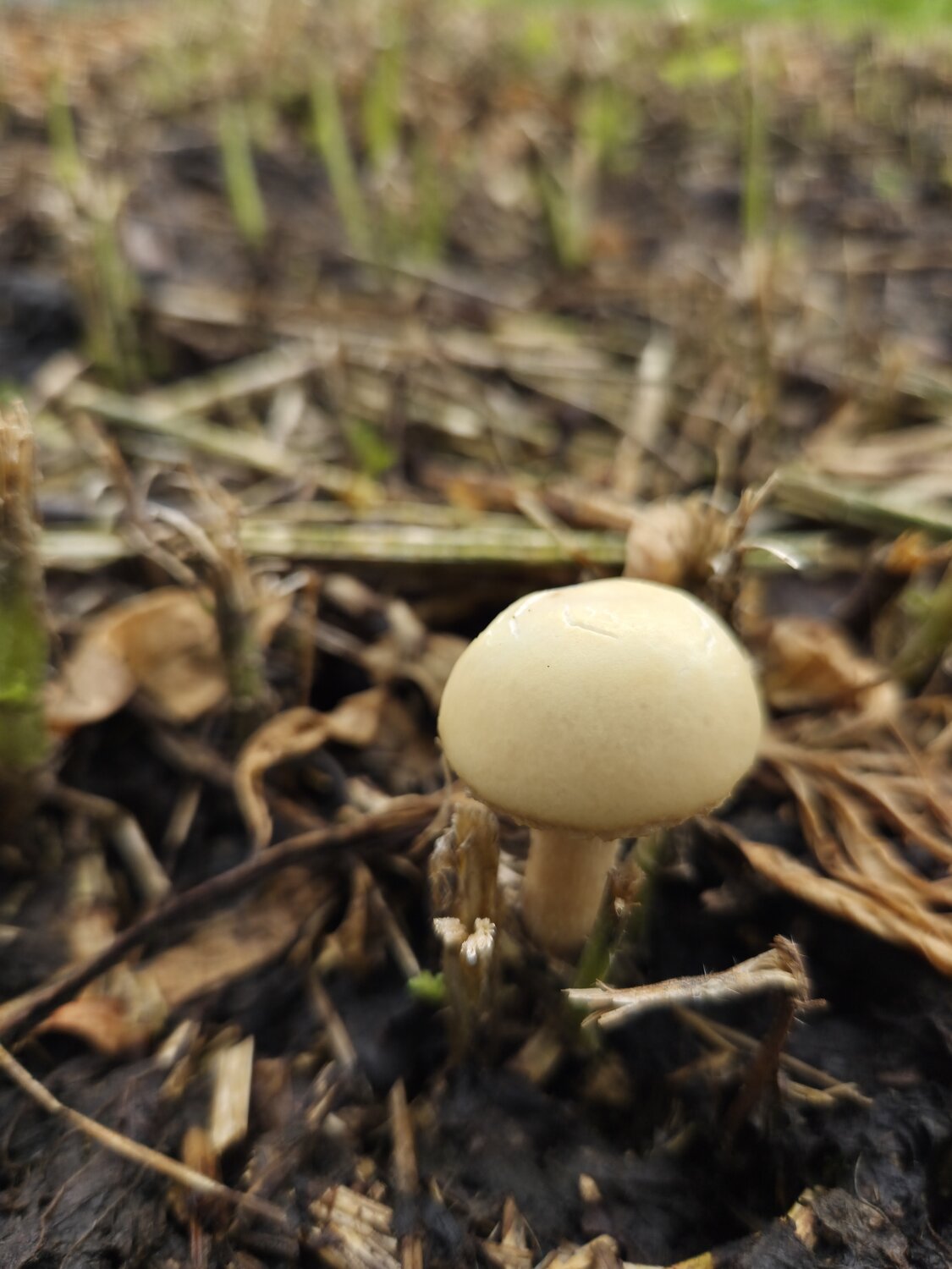 Photo #13966731