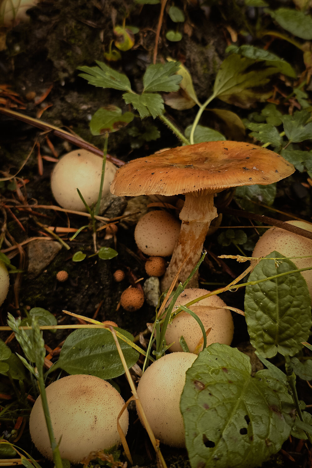 Photo #13966811