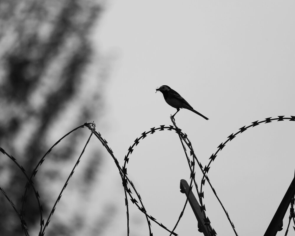Photograph by Jiri Skalka
