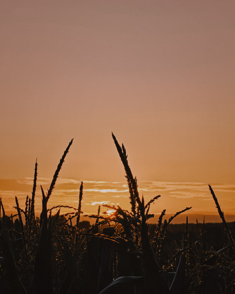 Photograph by Екатерина Савеня