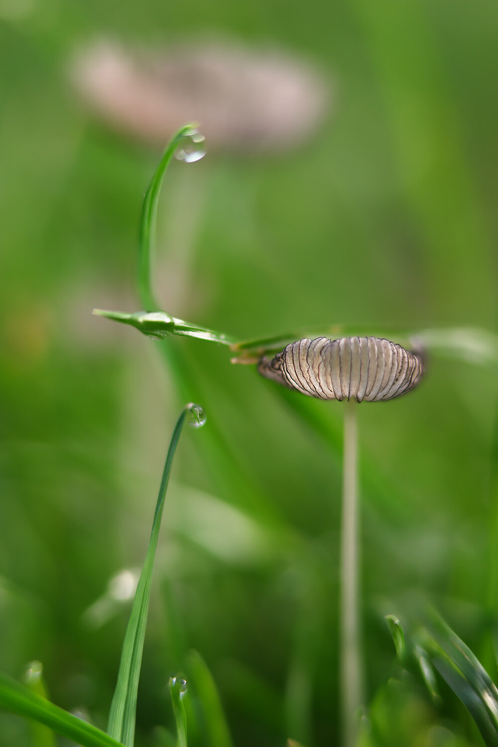 Photo #13967026