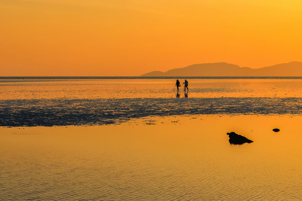 Golden Journey