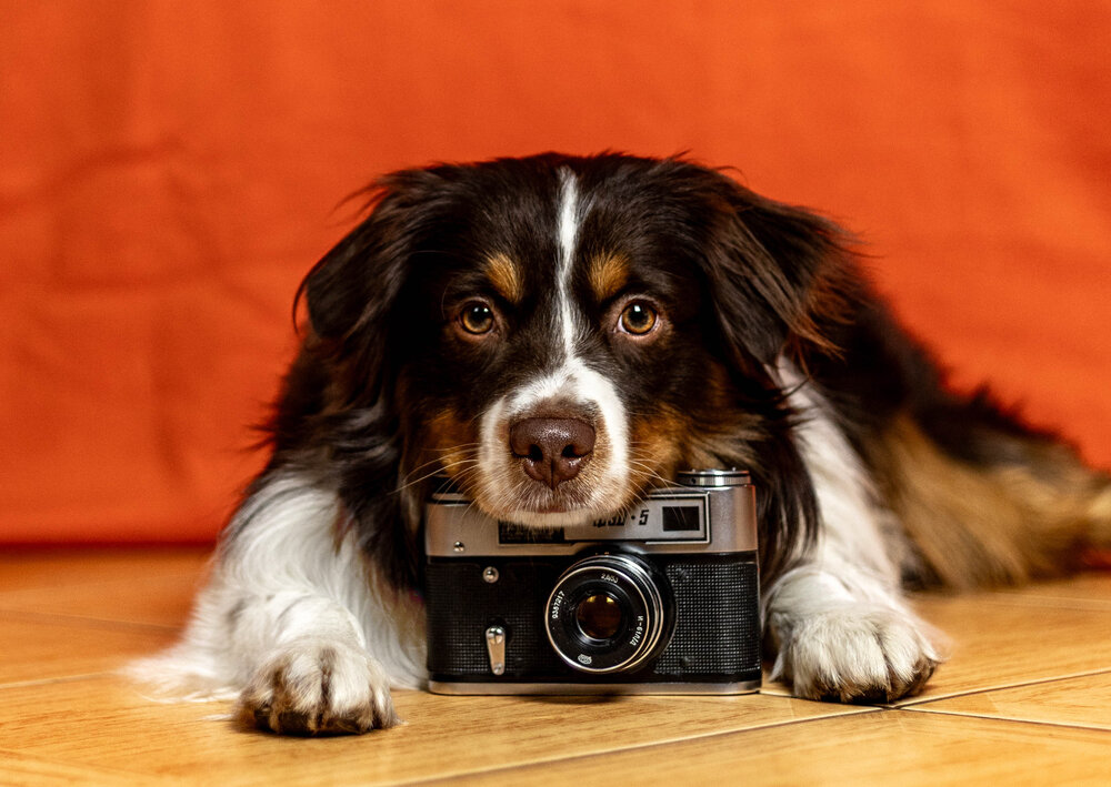 Photograph by Татьяна