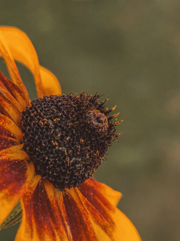 Photograph by Екатерина Савеня