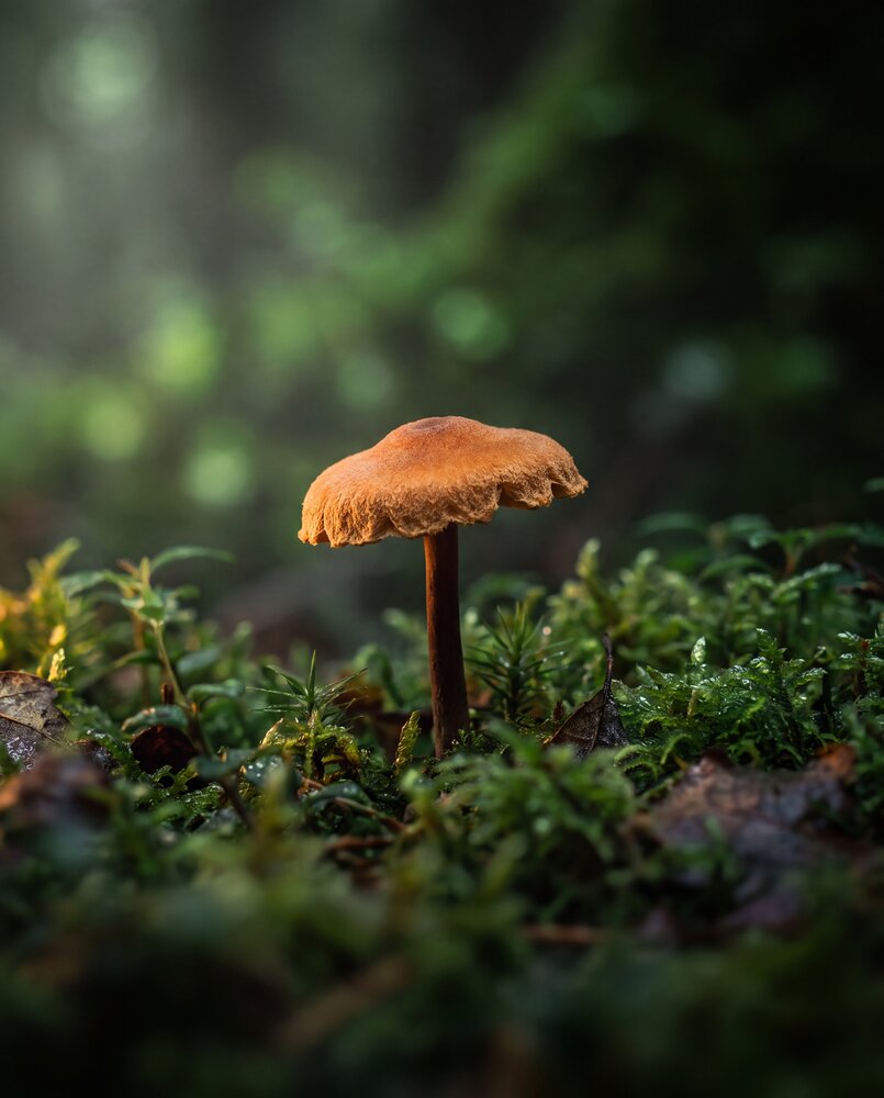 Photograph by Максим Кольцов