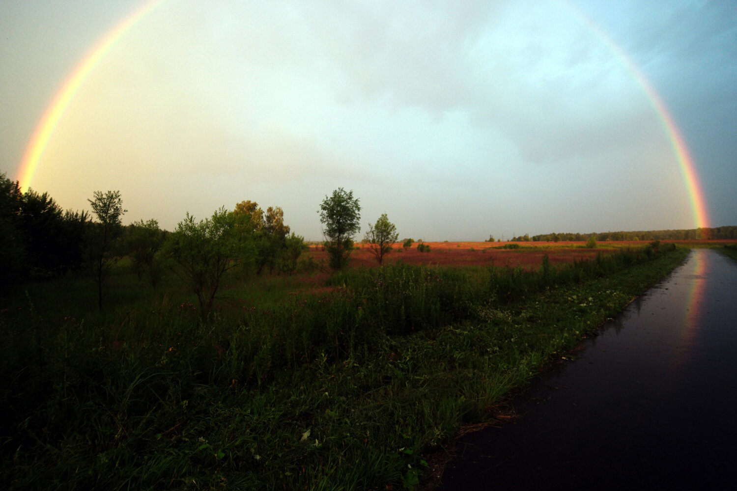 Photo #13967391