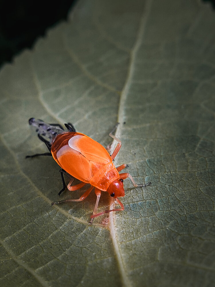 Photograph by Анна Чичилова