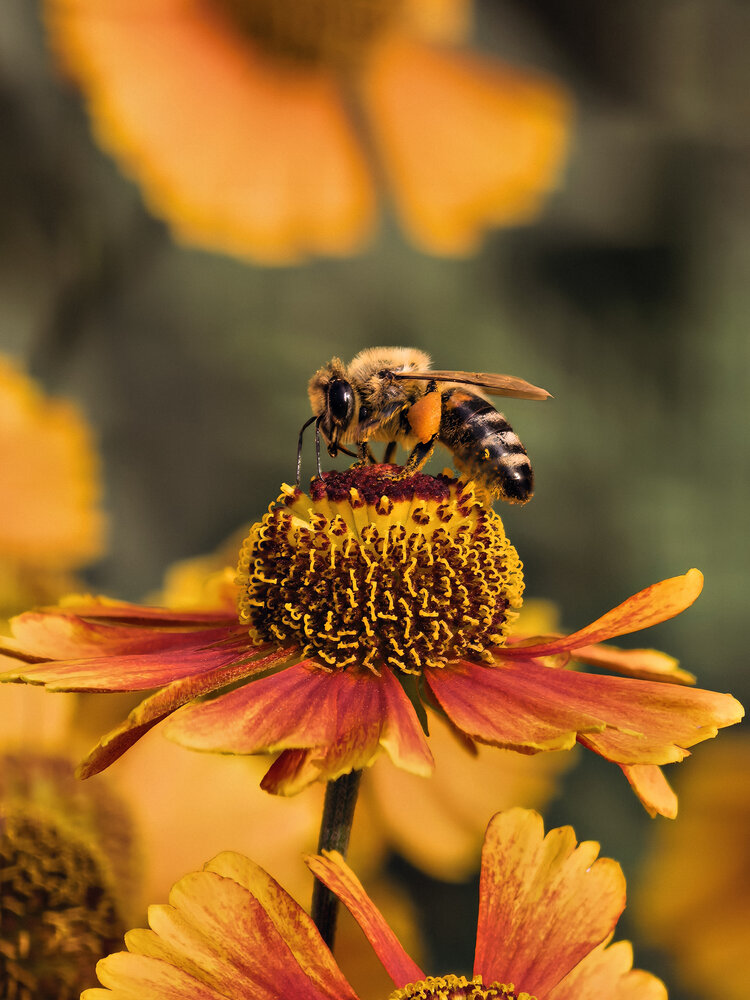 Photograph by Елена Чулюнина
