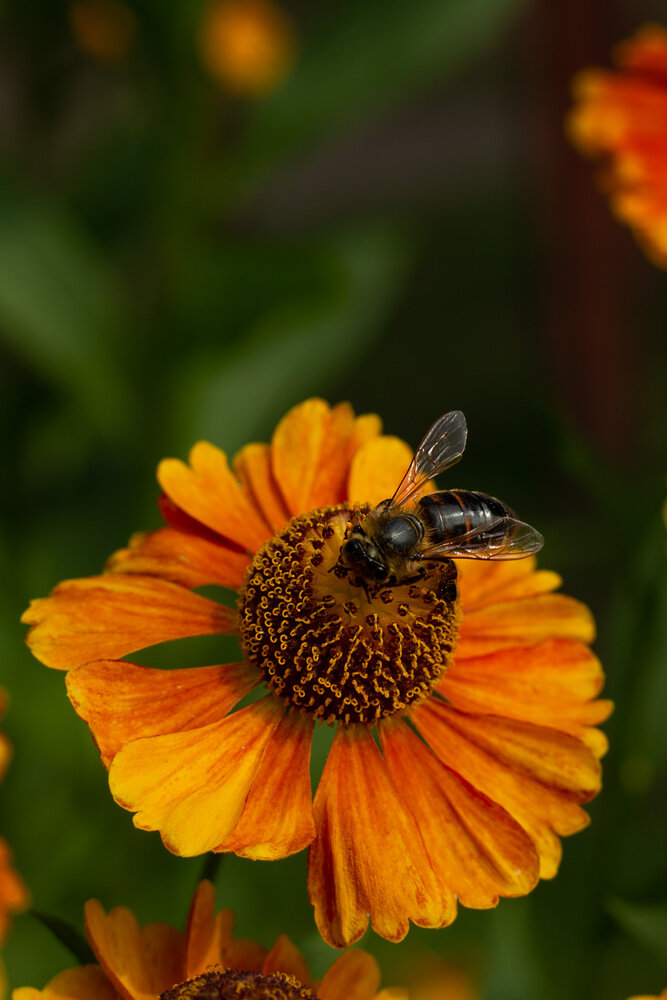 Photograph by Мария Данилина