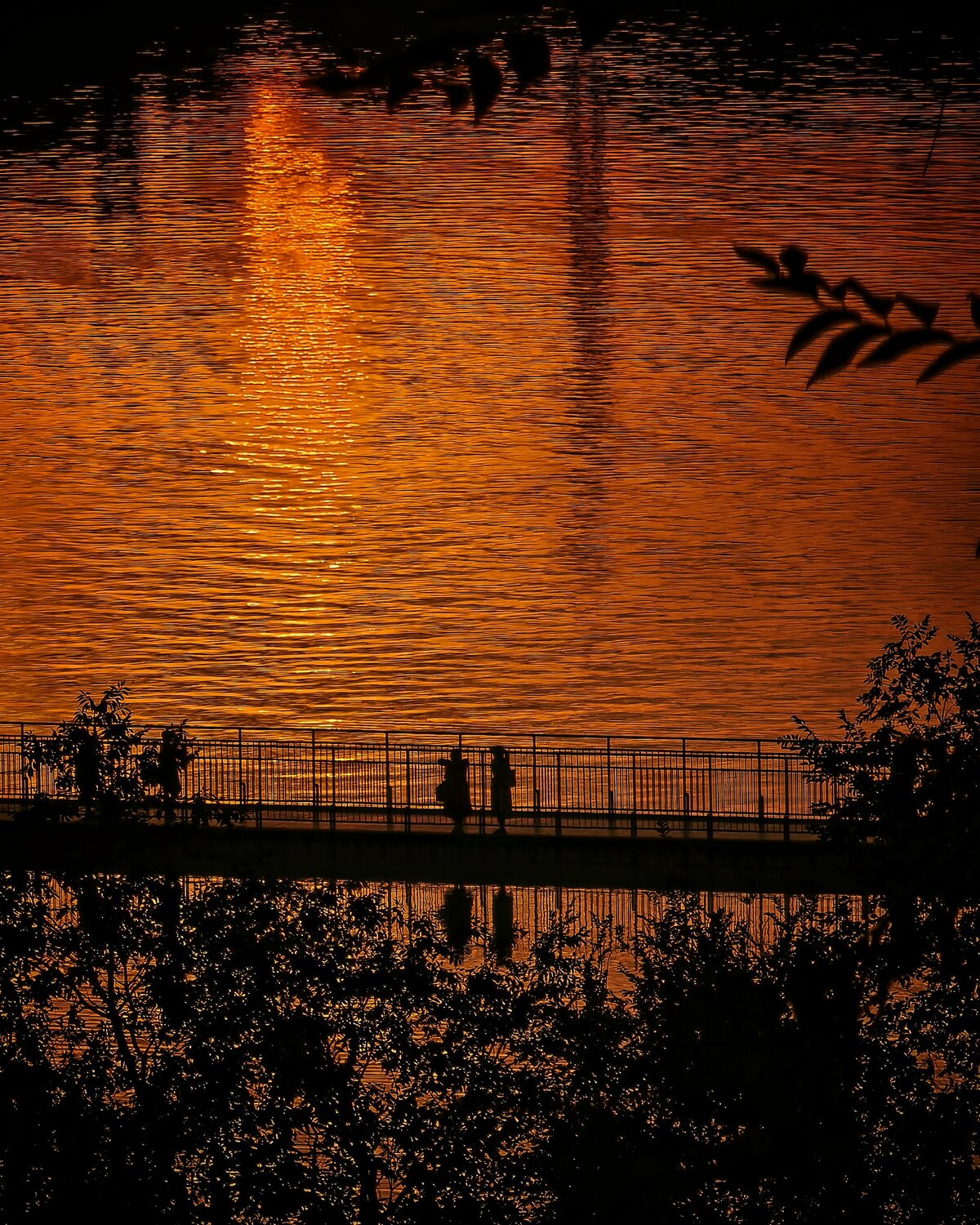Photo #13967483