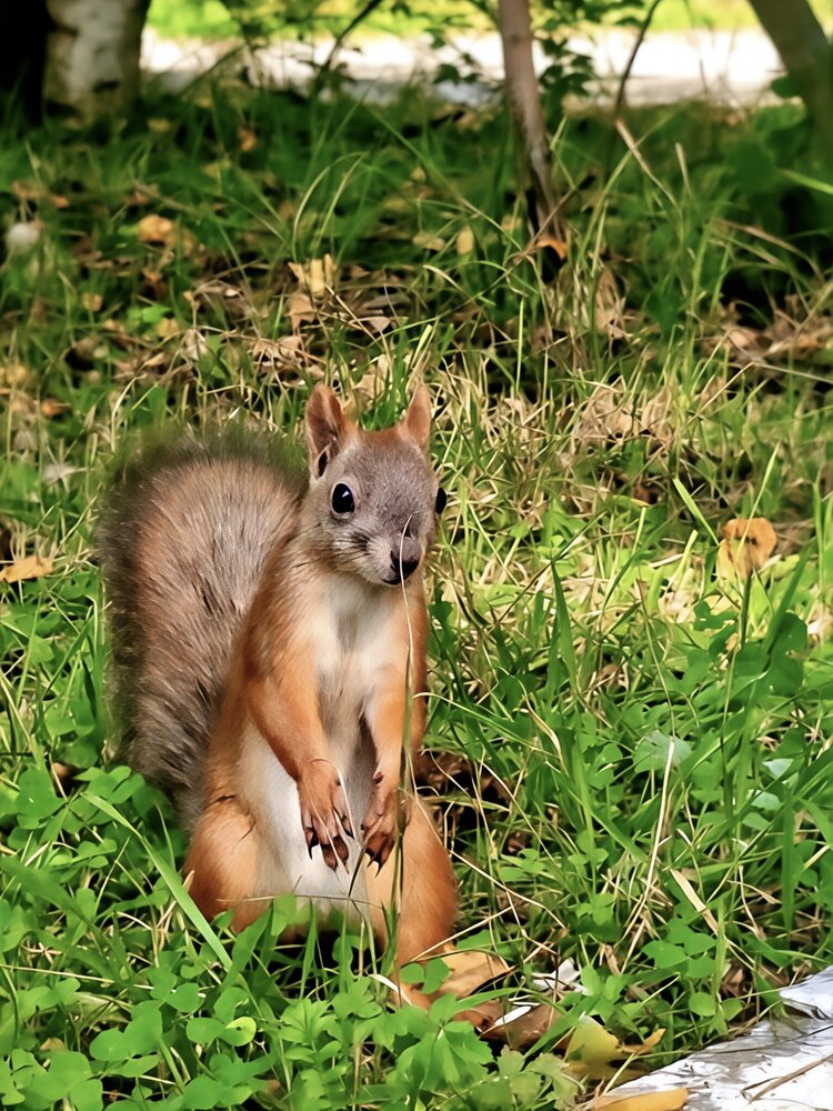 Photograph by Лариса Лысенко