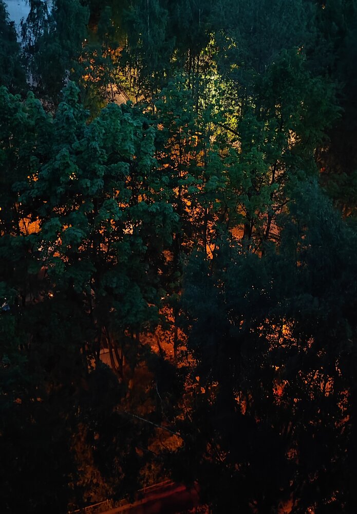 Photograph by Елена Юдина