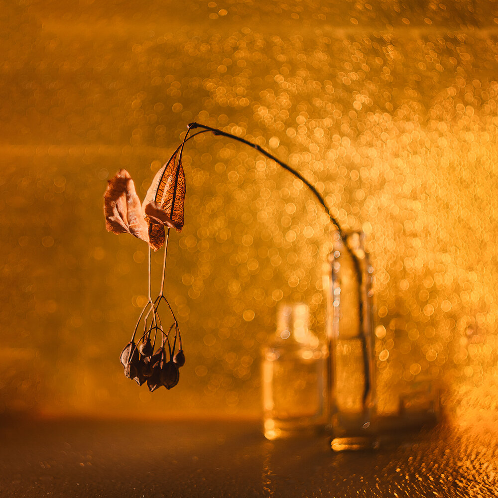 Photograph by MVO (Марк Орлов)