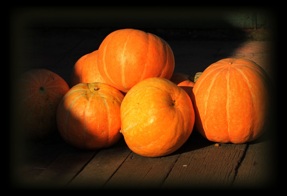 Photograph by Леунина Людмила