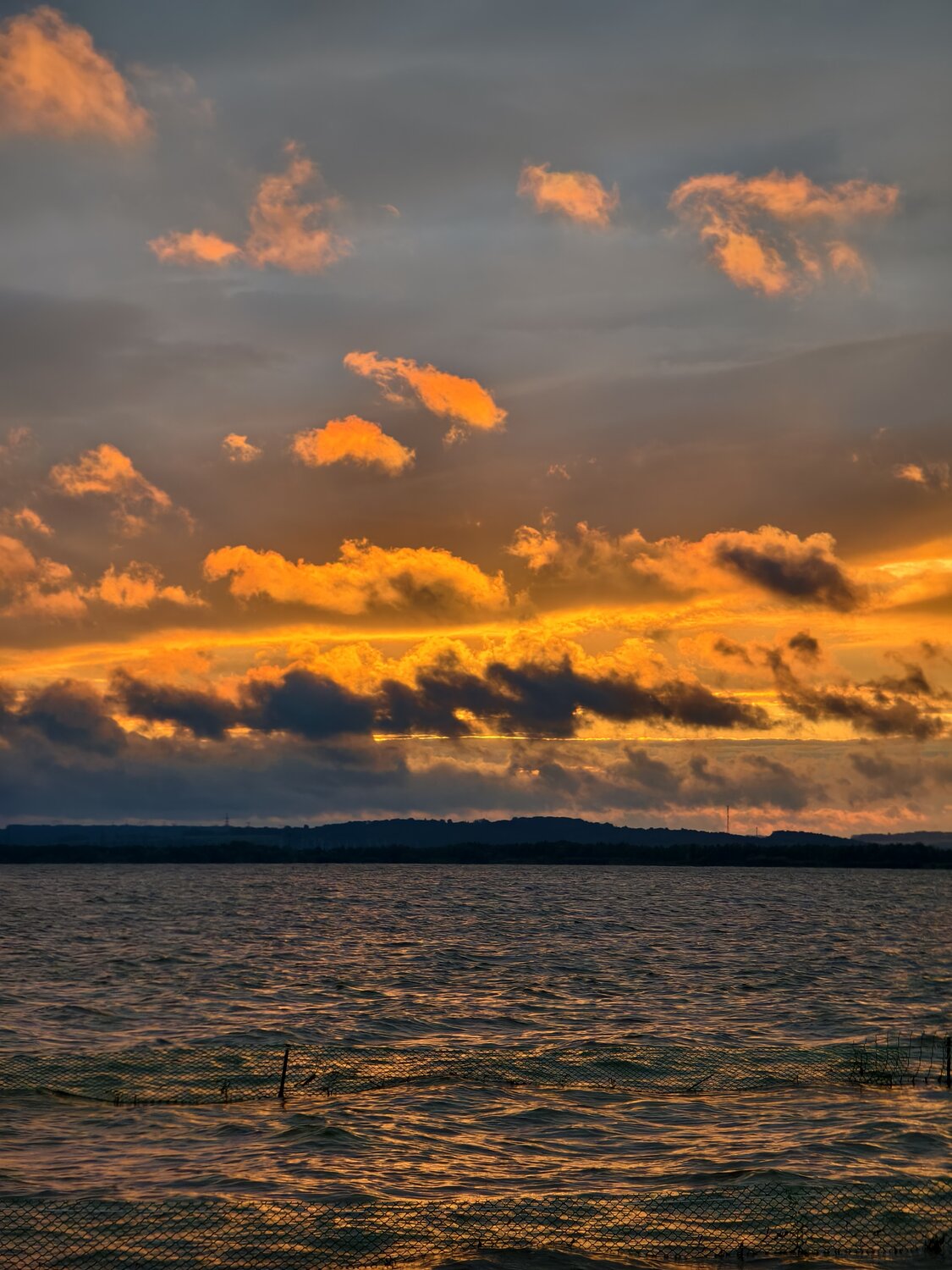 Photo #13967665