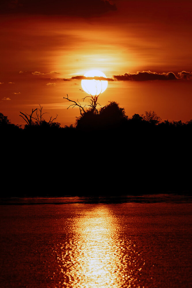 Photograph by Juergen Buechel