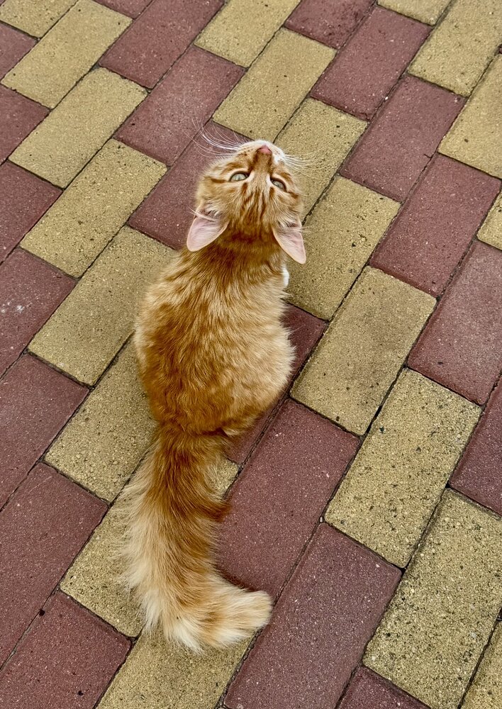 Photograph by Юлия