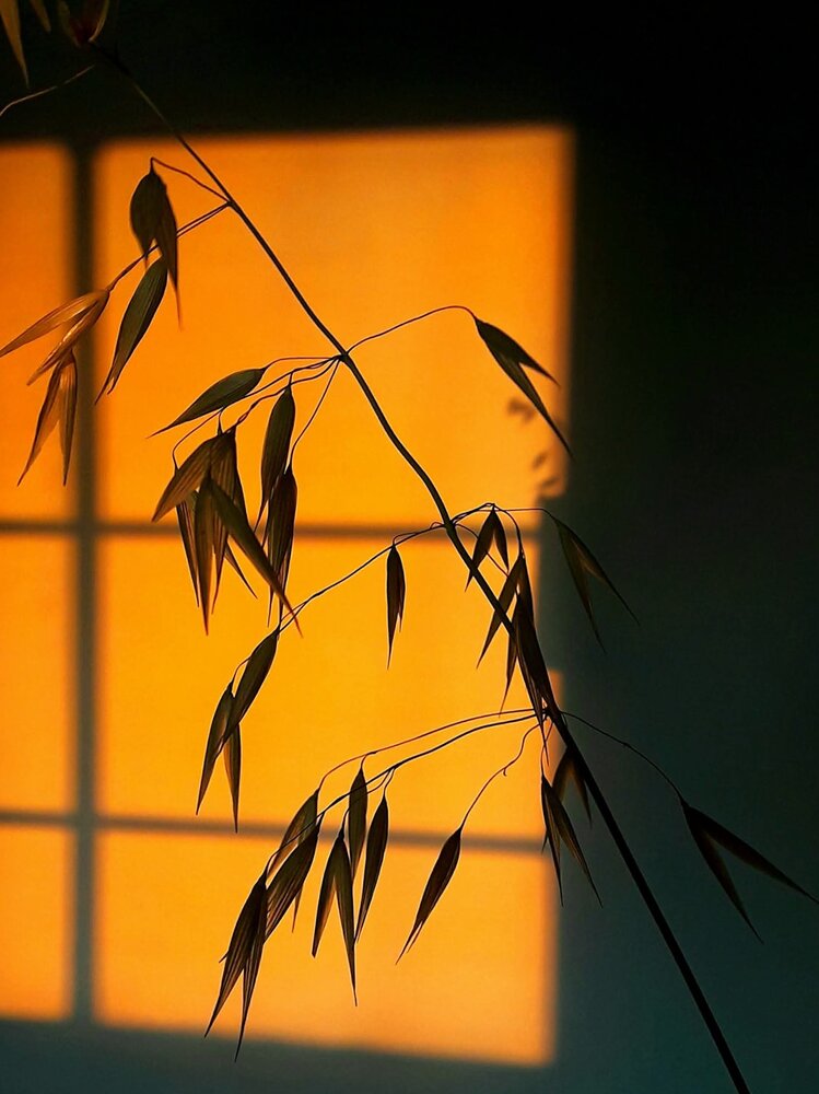 Photograph by Polina Svirida