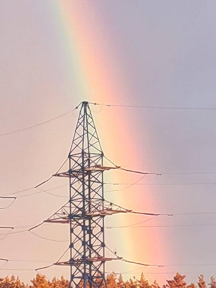 Photo #13967774