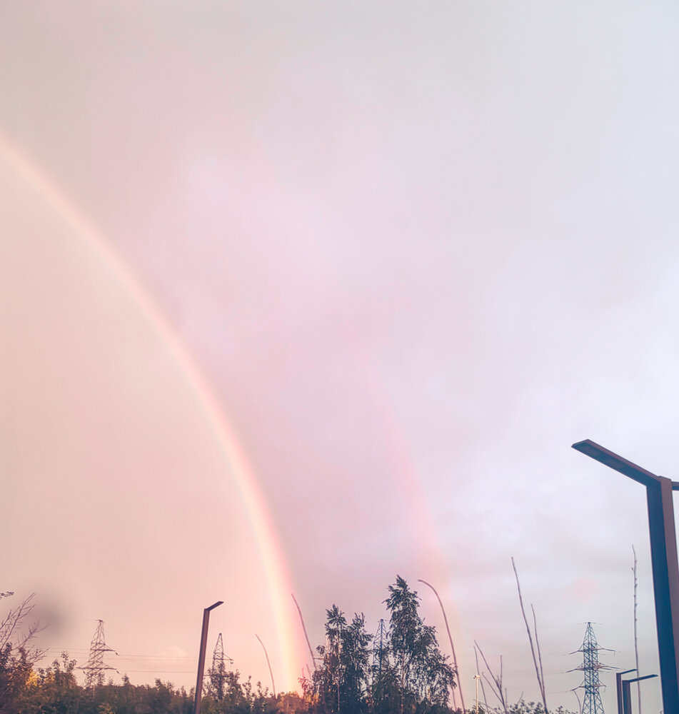 Photo #13967775