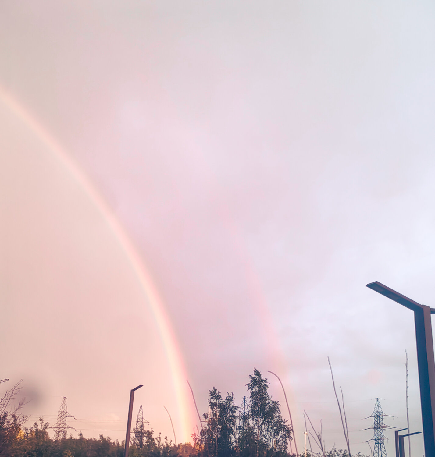 Photo #13967775