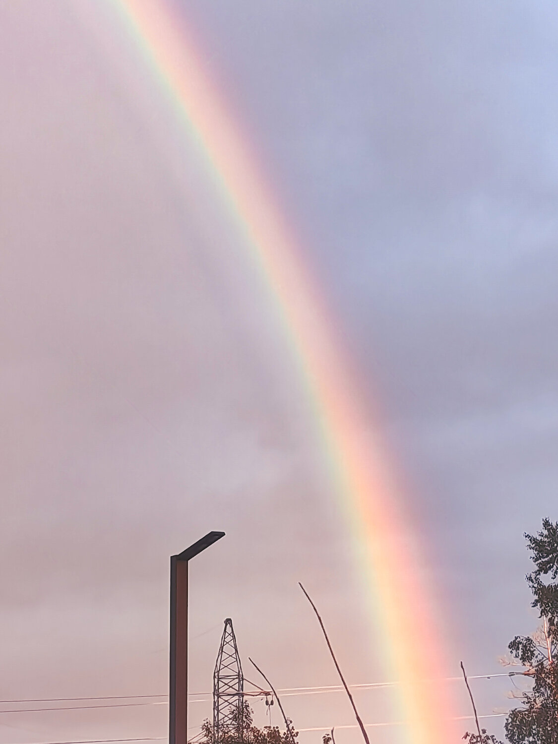 Photo #13967776