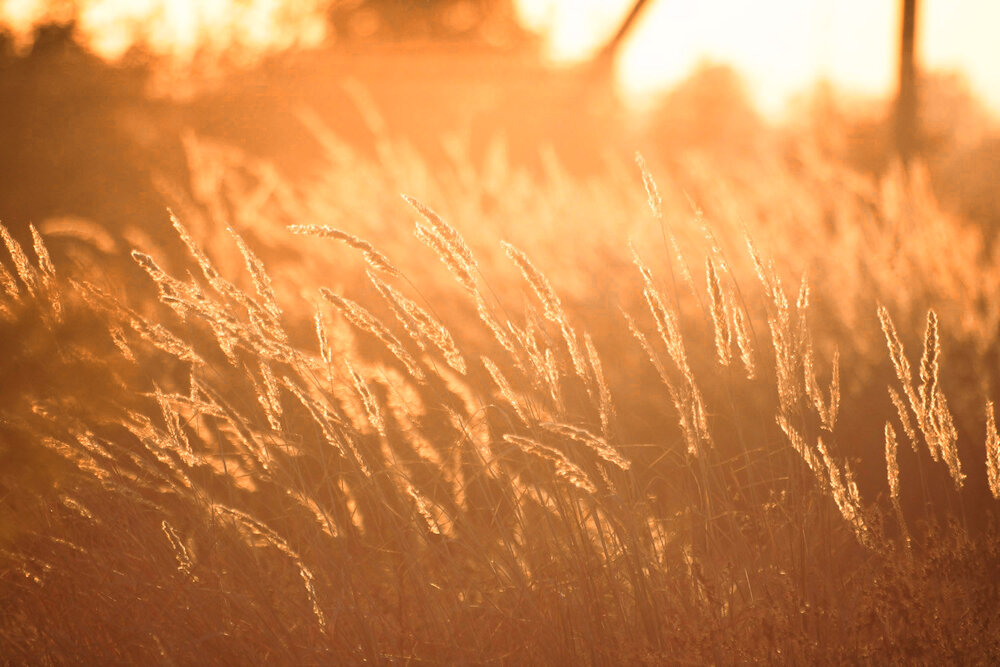 Photograph by Ольга Сельницына