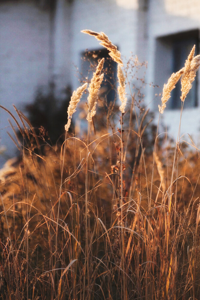 Photograph by Ольга Сельницына