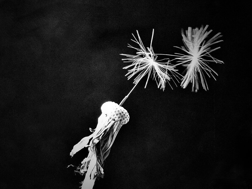 Photograph by Татьяна Шитлина