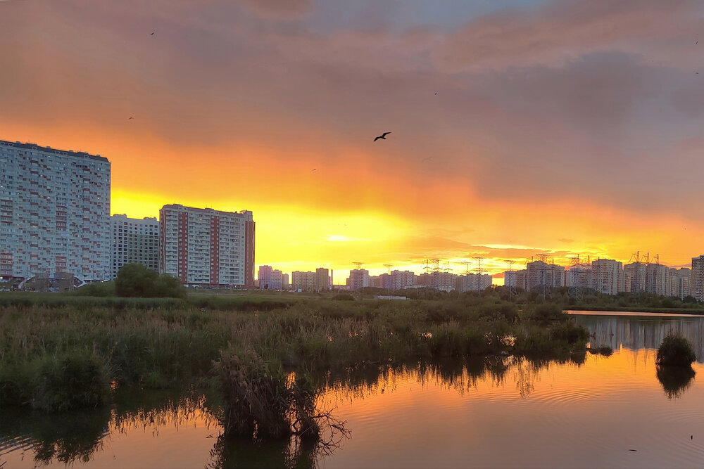 Новая Москва. Оранжевый закат. Автор Саша