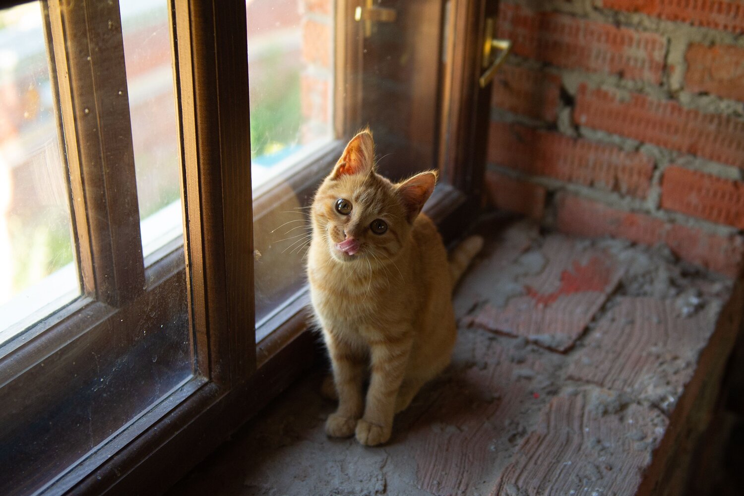 Photo #13967960