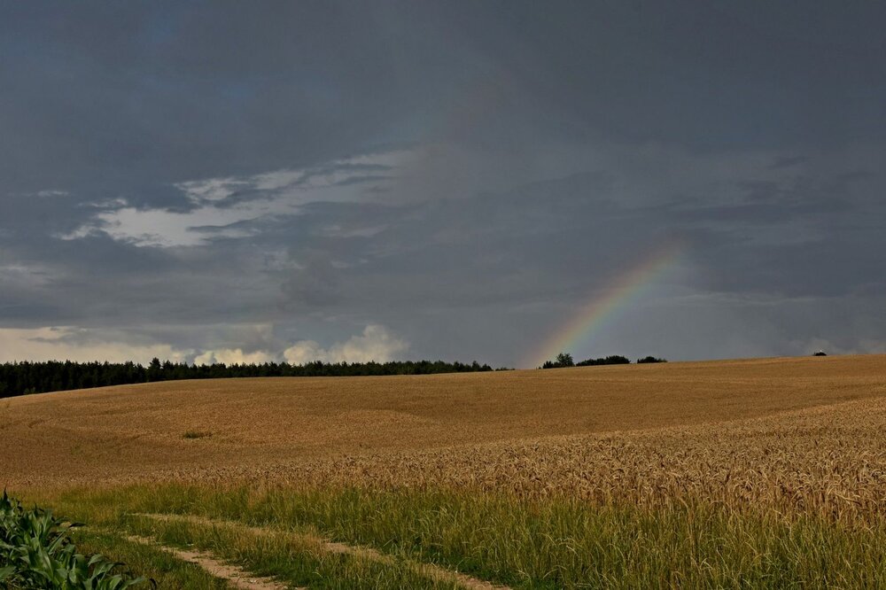 Photograph by Alexey Smal
